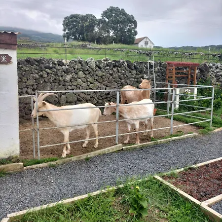 Raminho Dos Acores Farm stay Angra do Heroismo