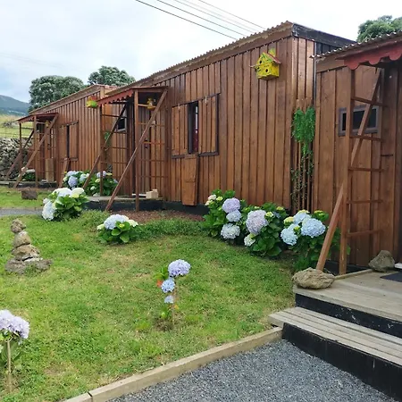 Raminho Dos Açores Angra do Heroísmo