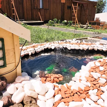 Raminho Dos Acores * 英雄港