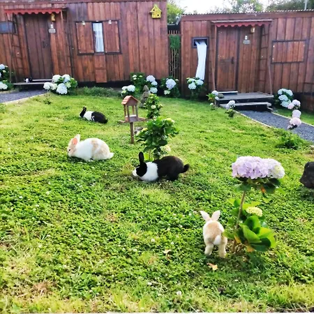 Raminho Dos Acores *