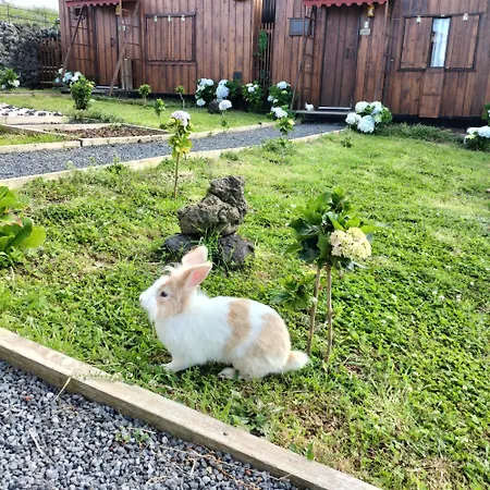 农家乐 Raminho Dos Acores