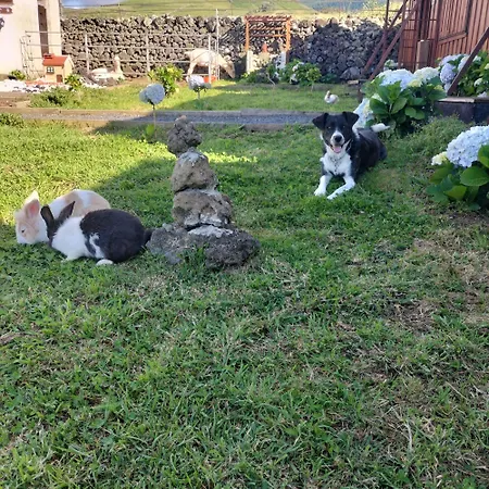 Séjour à la ferme Raminho Dos Açores