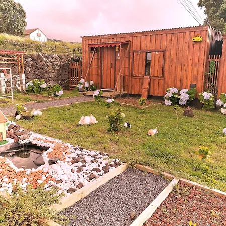 Raminho Dos Acores * 英雄港