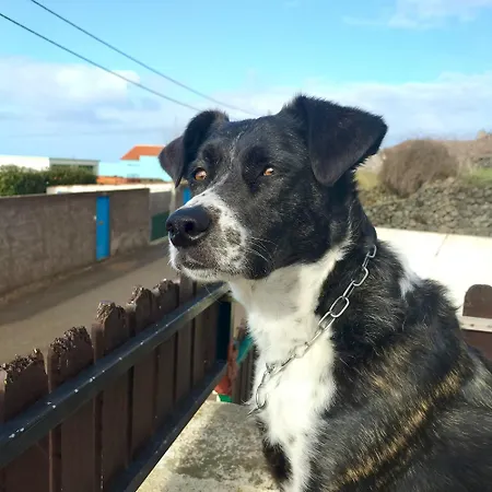 农家乐 Raminho Dos Acores *