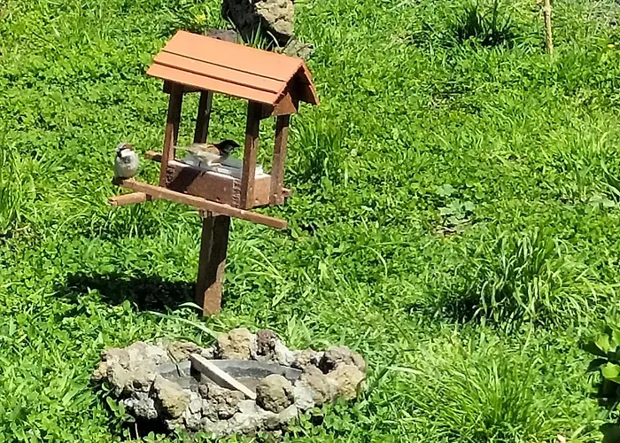 Raminho Dos Acores Gospodarstwo agroturystyczne