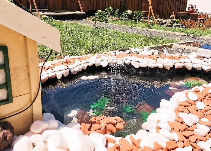 Raminho Dos Acores * 英雄港