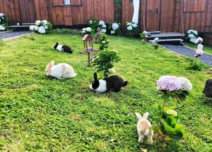 Raminho Dos Acores *