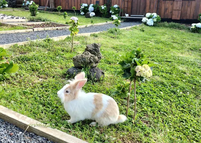 农家乐 Raminho Dos Acores