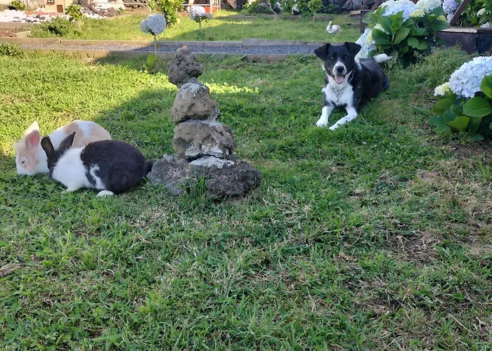 Фермерский дом Raminho Dos Acores