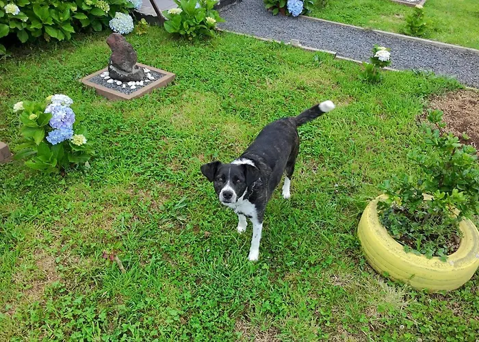 Raminho Dos Acores 农家乐 英雄港